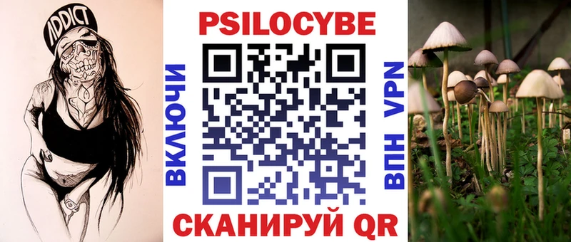 Псилоцибиновые грибы GOLDEN TEACHER  даркнет сайт  Гулькевичи 